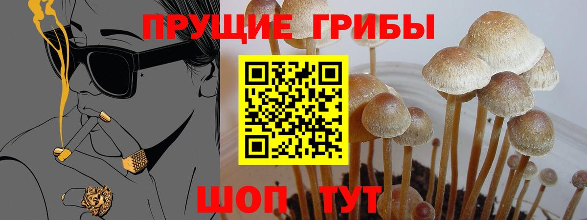 Галлюциногенные грибы MAGIC MUSHROOMS Южно-Сахалинск